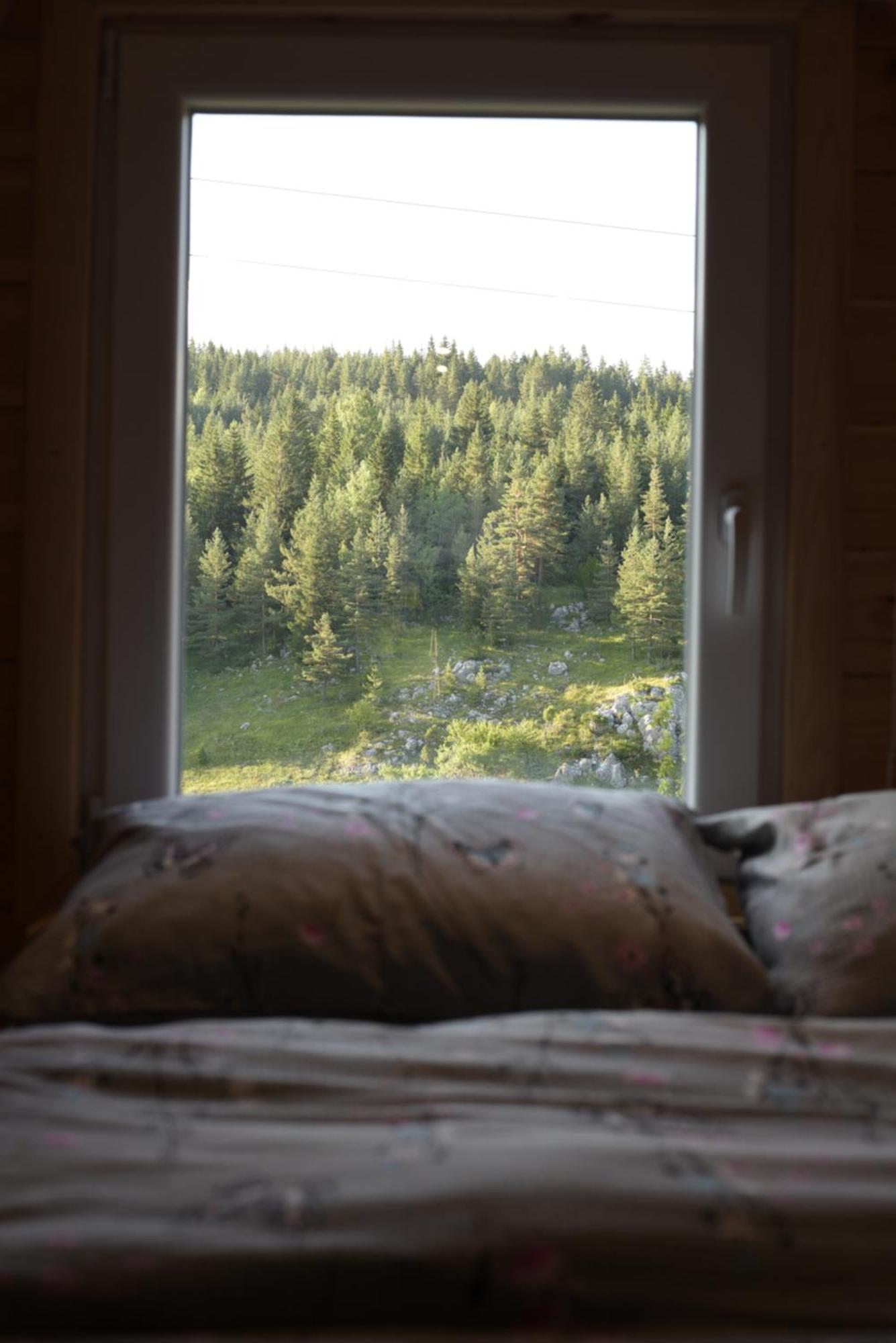 Mountain Paradise Cabin #1 Žabljak Extérieur photo